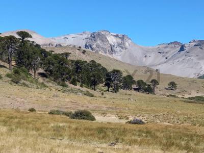Loncopué, Neuquén 00001, Argentine