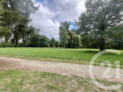 Le Baizil, Champagne-Ardenne 51270, Francia