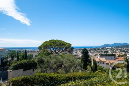 Le Cannet, Provence-Alpes-Côte d'Azur 06110, France