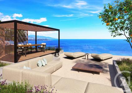 Cap D Ail, Provence-Alpes-Côte D'Azur 06320, Francia