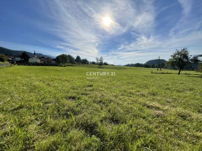 Ribnica na Pohorju, ribnica na Pohorju, Ribnica Na Pohorju, Koroška 2364, Slovenia