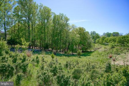 13501 Moonlight Trail Drive, Silver Spring, Maryland 20906, USA
