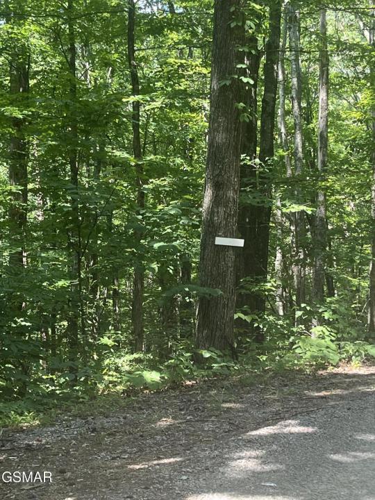 Lot 10 Windswept Circle, Newport, Tennessee 37821, Stati Uniti