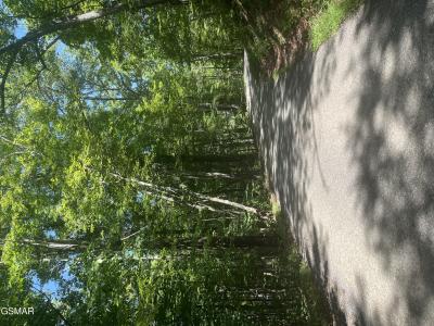 Lot 10 Windswept Circle, Newport, Tennessee 37821, Stati Uniti