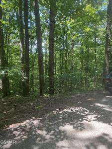 Lot 10 Windswept Circle, Newport, Tennessee 37821, Stati Uniti