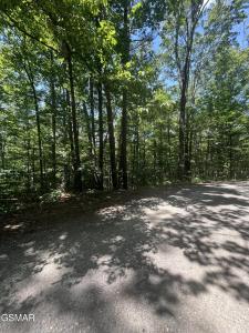 Lot 10 Windswept Circle, Newport, Tennessee 37821, Stati Uniti