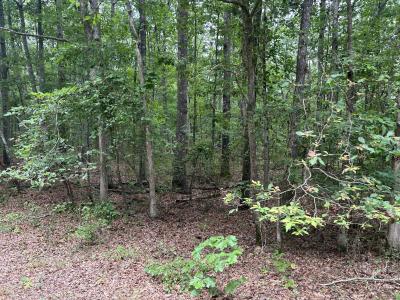 170 Deer Run, Altamont, Tennessee 37301, USA