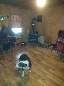 170 Deer Run, Altamont, Tennessee 37301, USA