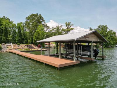 231 Holiday Point Drive, Spring City, Tennessee 37381, Estados Unidos