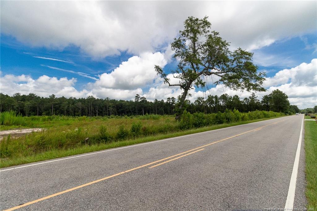 0 Meadow Road, Lumberton, North Carolina 28358