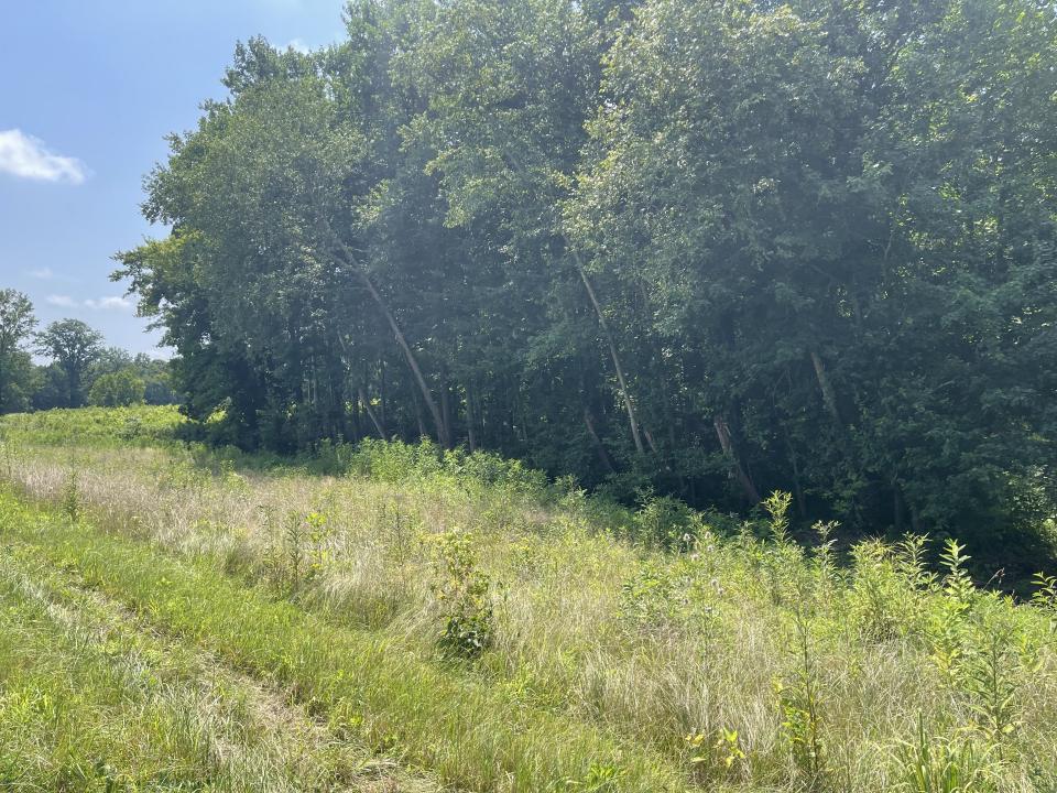 000 State Route 146W, Vienna, Illinois 62995, USA
