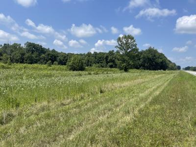 000 State Route 146W, Vienna, Illinois 62995, USA