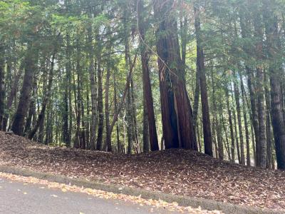 23649 Ridge Road, Willits, California 95490, Stati Uniti