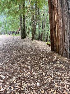 23649 Ridge Road, Willits, Califórnia 95490, Estados Unidos