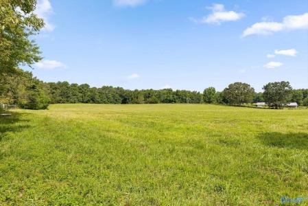 20.44 Acres County Road 126, Henagar, ألاباما 35978, الولايات المتحدة