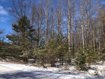 6186 Cedar Trace, Canadian Lakes, Michigan 49346, USA