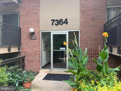 7364 Lee Hwy , 203, Falls Church, Virginia 22046, USA
