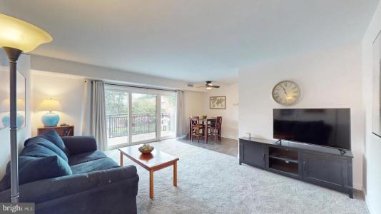 7364 Lee Hwy , 203, Falls Church, Virginia 22046, USA