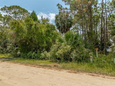 840 E Pine Avenue, Saint George Island, פלורידה 32328, ארצות הברית של אמריקה 