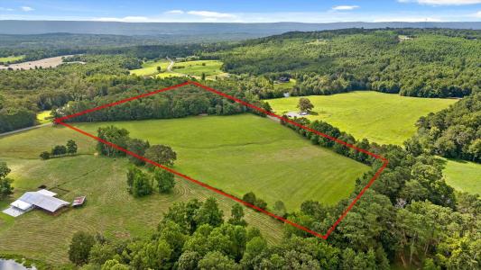 20.44 Ac County Road 126, Henagar, Alabama 35978, USA