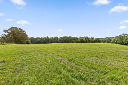20.44 Ac County Road 126, Henagar, Alabama 35978, Estados Unidos
