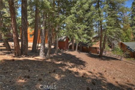 1163 Teton Drive, Big Bear Lake, カリフォルニア 92315, アメリカ合衆国
