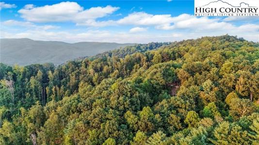 2095 Elk Ridge Road, Ferguson, Северная Каролина 28624, Соединенные Штаты