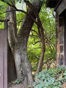 618  N Wilson, Fayetteville, 알칸사 72701, 미국