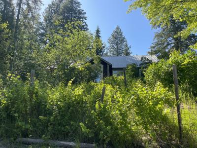 2256 Hoodoo Mountain Rd., Priest River, Idaho 83856, Amerika Birleşik Devletleri