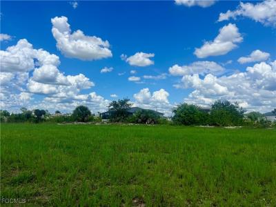203 NW 19th Place, Cape Coral, Florida 33993, Amerika Birleşik Devletleri