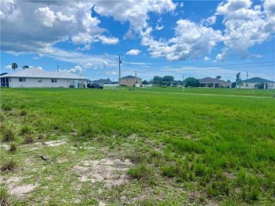 203 NW 19th Place, Cape Coral, Florida 33993, Amerika Birleşik Devletleri