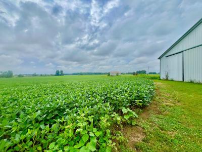 10800 South Road, Waldron, Michigan 49288, USA
