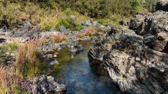 23392 Meyer Ravine Road, Grass Valley, Califórnia 95949, Estados Unidos