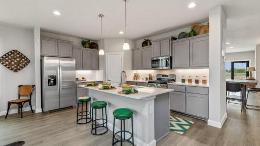 1313 MADELINE LN, Krum, تكساس 76249, الولايات المتحدة