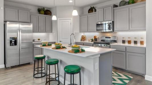 1313 MADELINE LN, Krum, تكساس 76249, الولايات المتحدة