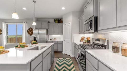 1313 MADELINE LN, Krum, تكساس 76249, الولايات المتحدة
