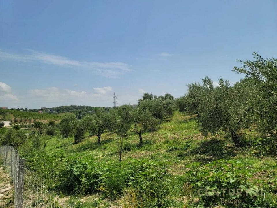 Rrashbull, Durrës, Albanie