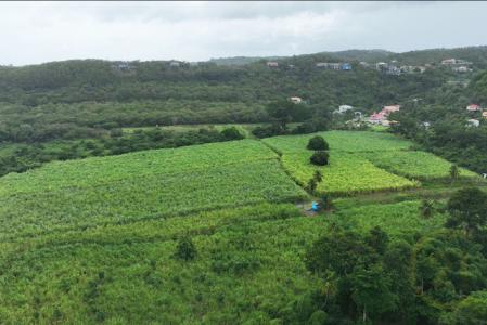 Hotel/Golf Course Site, Bailllies Bacolet, St.David West Indies, Granada