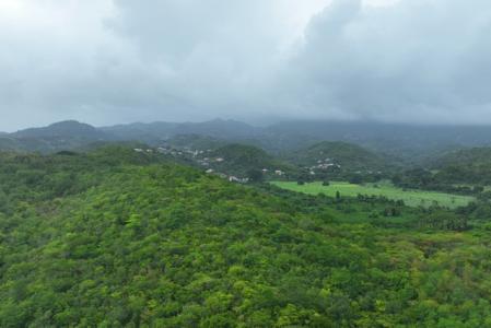 Hotel/Golf Course Site, Bailllies Bacolet, St.David West Indies, Granada