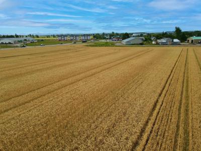 700 READ DRIVE, Summerside, Prince Edward Island C1N 4J5, Canada