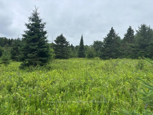 LT 3 HIGHWAY 17 N/A E, Bonfield, Ontario P0H 2E0, Canada