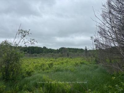 LT 3 HIGHWAY 17 N/A E, Bonfield, Ontario P0H 2E0, Canada