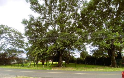 Jesús Santa Bárbara, Heredia 40401, Costa Rica