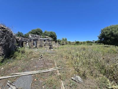 Gravina Di Catania, Sicilia 95030, Italy