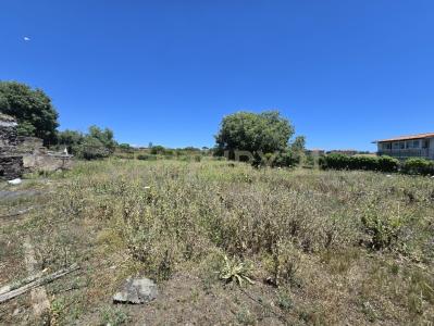 Gravina Di Catania, Sicilia 95030, Italy