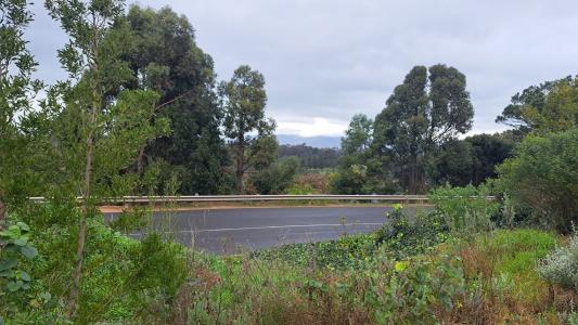 Caledon, Western Cape, South Africa