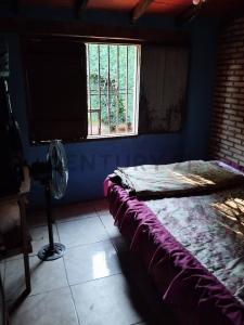 Caacupé, Cordillera 00001, باراغواي