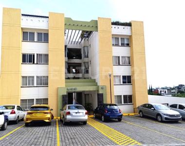 Tepehuaje  (Puerta 3) No. 214 Int. 102,, Cuernavaca, Morelos 62157, Mexico