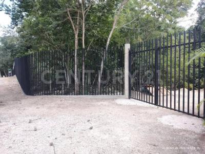 Francisco Uh May S/N,, Felipe Carrillo Puerto, Quintana Roo 77240, Mexico