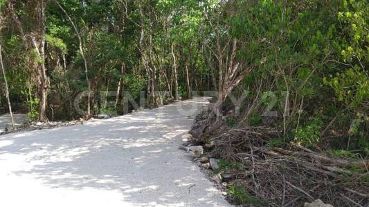 Francisco Uh May S/N,, Felipe Carrillo Puerto, Quintana Roo 77240, Mexico